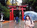 ●越後国一の宮・弥彦神社の菊まつりを観て帰ります!●.jpg